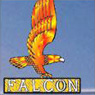 Falcon Airways Training Private Limited