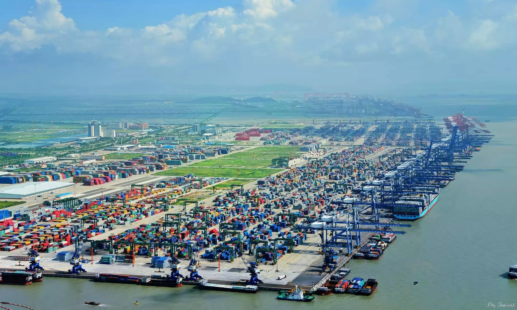 China's export dominance to push container repositioning: Drewry