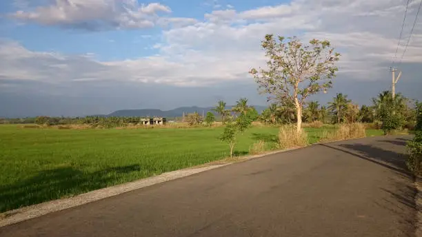 Mukkola-Karode bypass work likely to get delayed