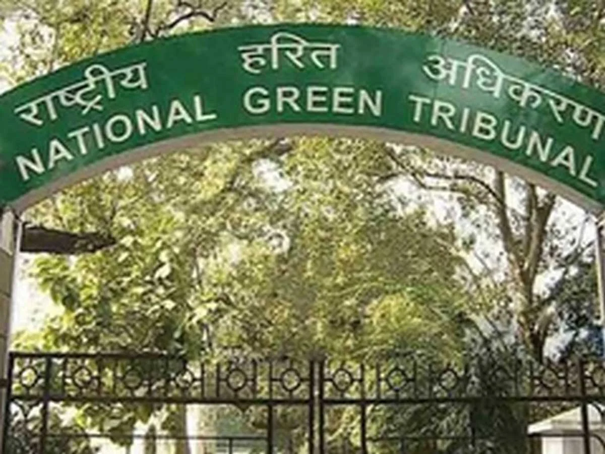 NGT Orders 10,000 Tree Planting by BRO in Uttarakhand