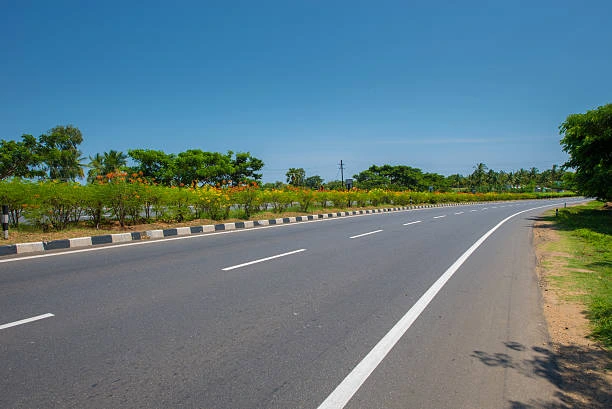 Nearly 200 trees translocated for road expansion in Nalgonda
