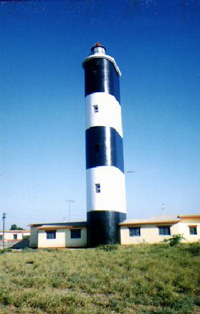 Chhachhi